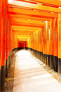 KYOTO, JAPAN, JUNE 15, 2015: Japanese text written on colorful red torii gates supports repeating at Fushimi Inari Taisha Shrine with no people present in Kyoto, Japan. Vertical copy space