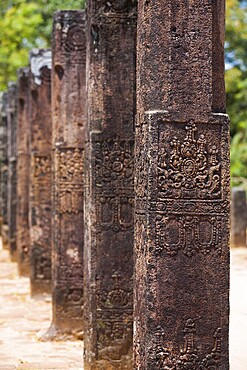 The carved columns of the audience hall lined up in a row at Polonnaruwa, the ancient capitol of the kingdom of Sri Lanka