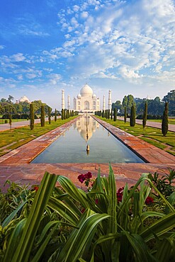 Plant foreground at empty Taj Mahal reflected in front lawn garden water fountain in Agra, India on a clear blue sky day. Vertical wide angle shot for plenty of copy space