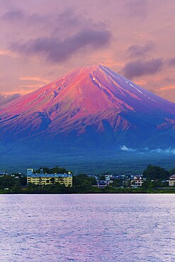 Colorful pink sky above the red volcano crater cone of Mount Fuji over Lake Kawaguchiko water on a summer morning sunrise in Japan. Vertical