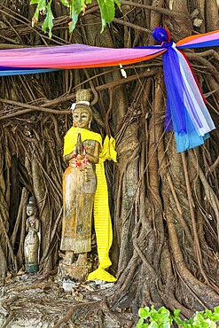 Buddhist figure in front of a tree on Phi Phi Island, wood, carving, wooden figure, Buddhism, faith, praying, praying, sculpture, statue, religion, world religion, icon, female, sculpture, respect, Siam, Asian, history, culture, cultural history, figure, temple, temple figure, idolise, tree, Thailand, Asia