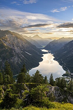 View of the Plansee lake from Schönjöchl at sunset, mountains with lake, summit of Thaneller in the background, Ammergau Alps, Reutte district, Tyrol, Austria, Europe