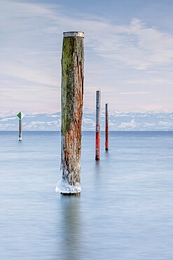 Wooden posts protrude from a calm lake under a pastel-coloured sky, harbour, Immenstaad, Lake Constance, Baden-Württemberg, Germany, Europe