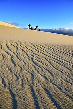 Cycling tour with fatbikes at Die Plaat Beach, Nature Reserve, De Kelders, Gansbaai, Western Cape, South Africa, Africa