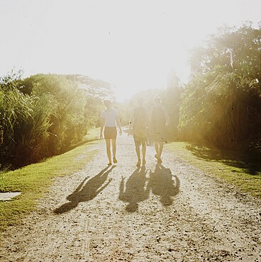 Argentina Friends Summer Walk Backlight, Buenos Aires, Park, Reserva Ecológica de Buenos Aires