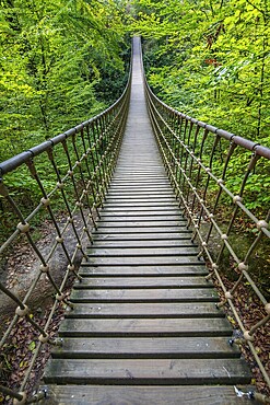Wooden suspension bridge over a gorge, beautiful nature and trees in the German forest
