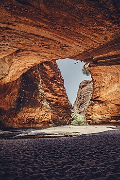 Bungle Bungle Range, Outback, hiking in Australia in high heat, Western Australia, Australia