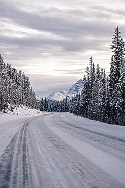Winter road trip on the Icefields Parkway with lots of snow and ice, Banff National Park, Jasper National Park, Alberta, Canada