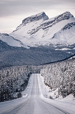 Winter road trip on the Icefields Parkway with lots of snow and ice, Banff National Park, Jasper National Park, Alberta, Canada