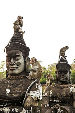 Figures and monkeys on the bridge to Angkor Thom, macaques, sunset, Angkor Wat, Angkor, UNESCO World Heritage Site, Siem Reap, Cambodia, Indochina, Southeast Asia