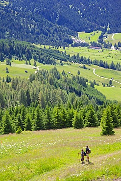View from Col Alto, Corvara, Badia Valley, Bolzano Province, Trentino-Alto Adige/South Tyrol, Italian Dolomites, Italy, Europe