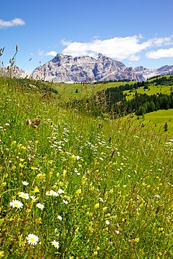 View from Col Alto, Corvara, Badia Valley, Bolzano Province, Trentino-Alto Adige/South Tyrol, Italian Dolomites, Italy, Europe