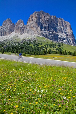 Cyclist and Sassolungo Group, Sella Pass, Trento and Bolzano Provinces, Italian Dolomites, Italy, Europe