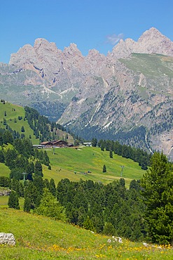Sella Pass, Trento and Bolzano Provinces, Italian Dolomites, Italy, Europe