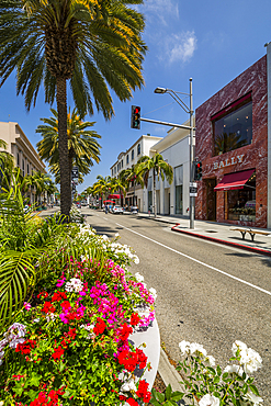 View of shops on Rodeo Drive, Beverly Hills, Los Angeles, California, United States of America, North America