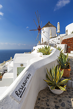 View of windmill overlooking Oia village, Santorini, Cyclades, Aegean Islands, Greek Islands, Greece, Europe