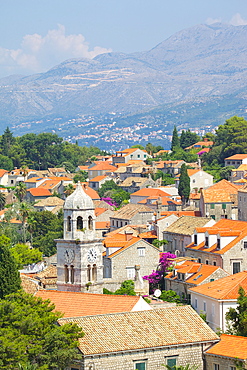 View of Old Town, Cavtat, Dubrovnik Riviera, Dalmatian Coast, Dalmatia, Croatia, Europe