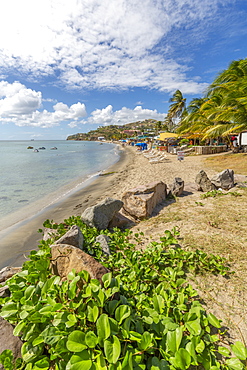 View of Frigate Bay Beach, Basseterre, St. Kitts and Nevis, West Indies, Caribbean, Central America