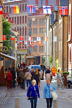 Haga District, Gothenburg, Sweden, Scandinavia, Europe