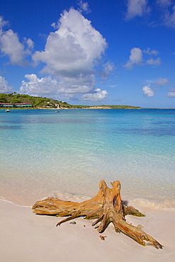 View of Long Bay and beach, Long Bay, Antigua, Leeward Islands, West Indies, Caribbean, Central America