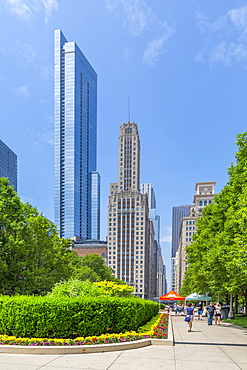 View of skyscrapers from Millennium Park, Downtown Chicago, Illinois, United States of America, North America