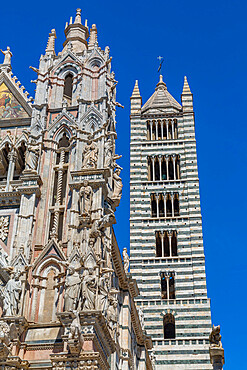 View of Siena Cathedral (Duomo) and Campanile, UNESCO World Heritage Site, Siena, Tuscany, Italy, Europe