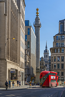 View of Monument to the Great Fire of London, City of London, London, England, United Kingdom, Europe