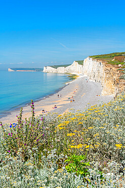 View of Seven Sisters Chalk Cliffs from Birling Gap, South Downs National Park, near Eastbourne, East Sussex, England, United Kingdom, Europe