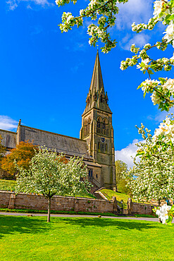 View of St. Peter's Church and spring blossom, Edensor Village, Chatsworth Park, Bakewell, Derbyshire, England, United Kingdom, Europe