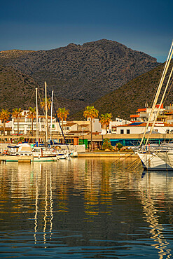 View of sunrise reflecting on yachts in Port de Pollenca Marina, Port de Pollenca, Majorca, Balearic Islands, Spain, Mediterranean, Europe