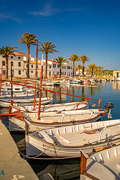 View of boats and palm trees in the marina and houses in Fornelles, Fornelles, Menorca, Balearic Islands, Spain, Mediterranean, Europe