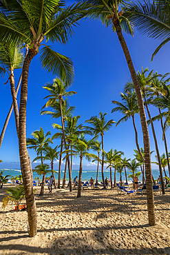 View of sea, beach and palm trees on a sunny day, Bavaro Beach, Punta Cana, Dominican Republic, West Indies, Caribbean, Central America