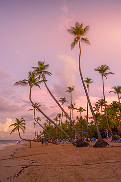 View of palm trees and sea at Bavaro Beach at sunset, Punta Cana, Dominican Republic, West Indies, Caribbean, Central America