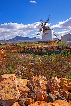 View of windmill in dramatic landscape near La Matilla, Fuerteventura, Canary Islands, Spain, Atlantic, Europe