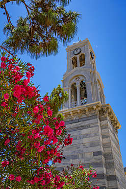 View of Cathedral belltower of Kalimnos, Kalimnos, Dodecanese Islands, Greek Islands, Greece, Europe