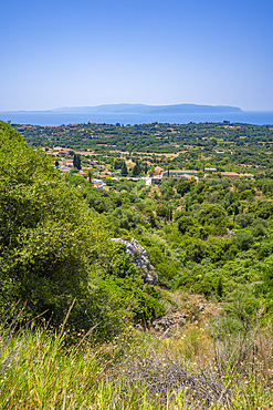 View of olive groves and coastline near Lourdata, Kefalonia, Ionian Islands, Greek Islands, Greece, Europe