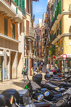 View of shops and shoppers in narrow street, Palma de Mallorca, Majorca, Balearic Islands, Spain, Mediterranean, Europe