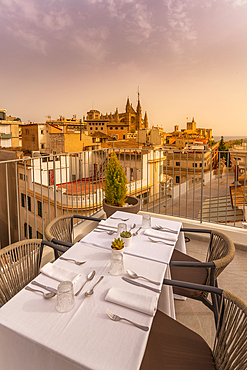 View of Catedral-Basílica de Santa María de Mallorca and rooftop restaurant table, Palma de Mallorca, Majorca, Balearic Islands, Spain, Mediterranean, Europe