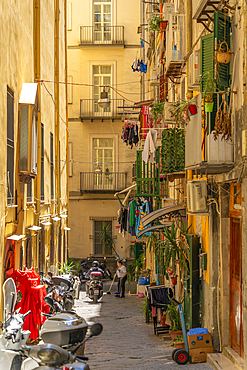 View of buildings on bustling Via San Gregorio Armeno, Naples, Campania, Italy, Europe