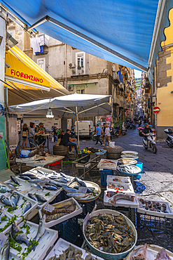 View of fishmarket stalls and architecture on Via Domenico Capitelli, Naples, Campania, Italy, Europe