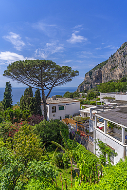 View of villas and seascape from Capri Town, Isle of Capri, Bay of Naples, Campania, Italy, Mediterranean, Europe