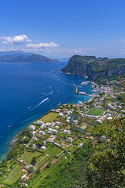 View of Grande Marina from Anacapri panorama view point, Anacapri, Isle of Capri, Bay of Naples, Campania, Italy, Mediterranean, Europe