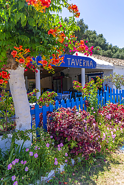 View of taverna near Paralia Kalamaki, Paralia Kalamaki, Corfu, Ionian Sea, Greek Islands, Greece, Europe