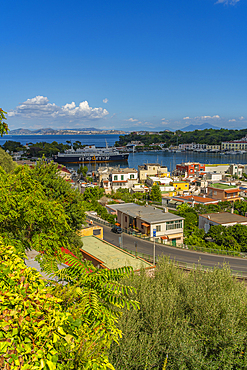 Elevated view of Porto d'Ischia (Port of Ischia), Island of Ischia, Campania, Italy, Europe