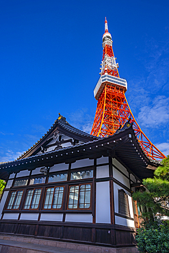 View of Tokyo Tower and Shinkoin Buddhist Temple against blue sky, Shibakoen, Minato City, Tokyo, Honshu, Japan