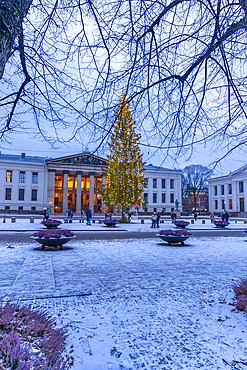 View of Domus Media in University Square during winter, Oslo, Norway, Scandinavia, Europe