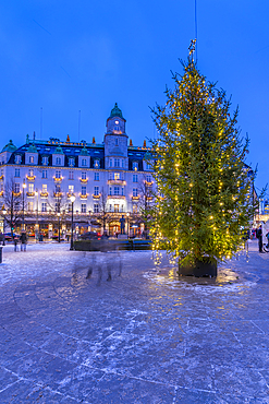 View of Grand Hotel and Christmas tree on Karl Johans Gate during winter at dusk, Oslo, Norway, Scandinavia, Europe