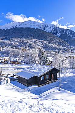 View of snow covered trees, mountains and Courmayeur from Dolonne during winter, Courmayeur, Aosta Valley, Italy, Europe