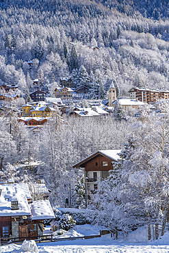 View of snow covered trees, mountains and Courmayeur from Dolonne during winter, Courmayeur, Aosta Valley, Italy, Europe