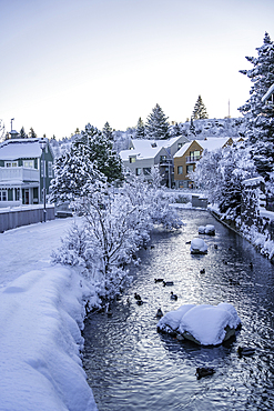 View of icy river and houses in Hafnarfjörður at sunrise during winter, Hafnarfjörður, Reykjavik, Iceland, Europe